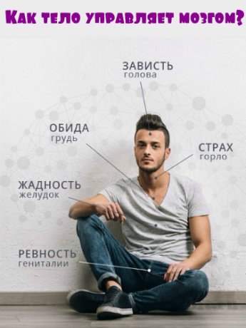 Как тело управляет мозгом_ - kleiton (2017)_0.jpg